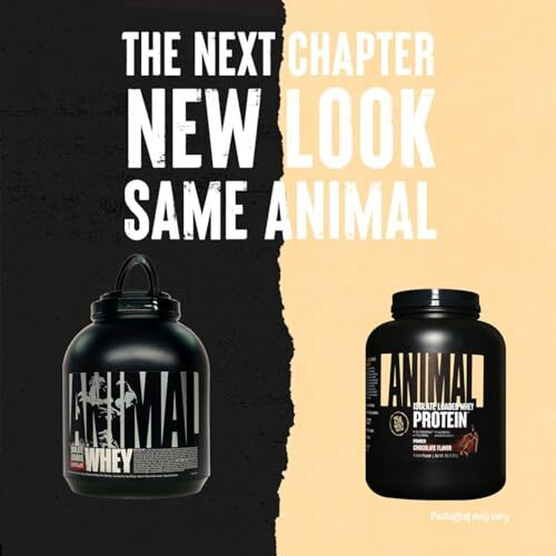 Chocolate Protein Supplement Powder 52 Servings 25G Protein per Scoop