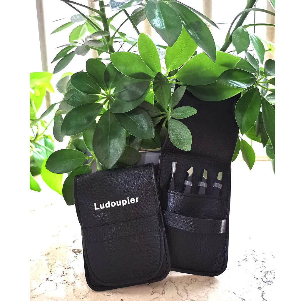 [4+1 Pieces] Tweezers Set with Travel Case, Great Precision Upgrade Professional Anti-Rust Alloy Tweezers for Women & Men Multi-Purpose as Eyebrows Facial Hair Ingrown Hair Removal